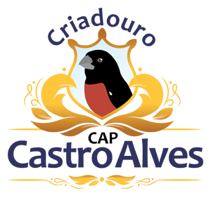 Contato | Criadouro Castro Alves Curió Bicudo Fibra Caldas Novas